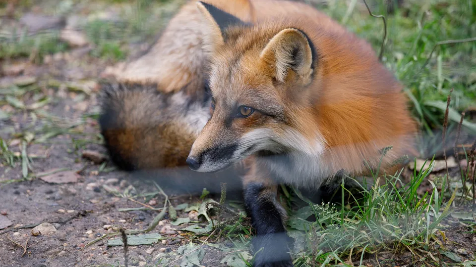 Фото: медиасток.рф