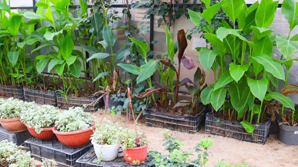 Фото: пресс-служба администрации г.о. Серпухов