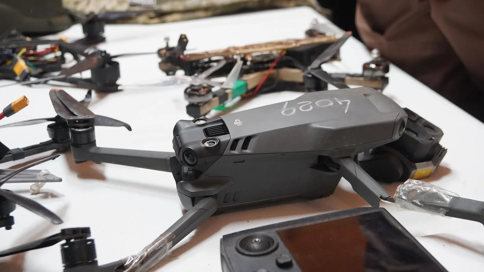 Алёна Притула