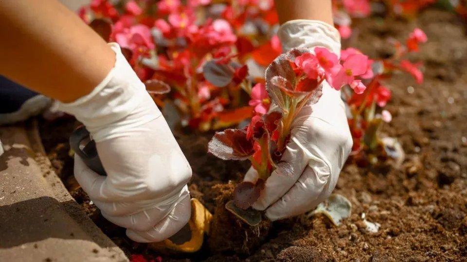 Фото: Раменский медиацентр