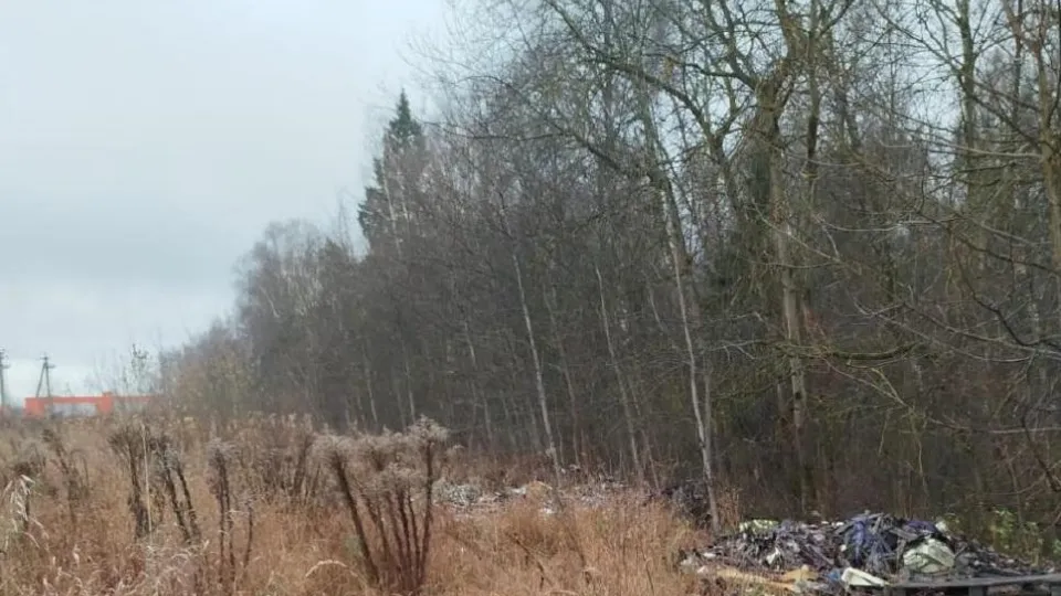 Фото: Минэкологии МО