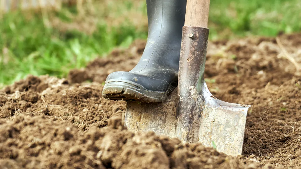 Фото: istockphoto.com/Dzurag