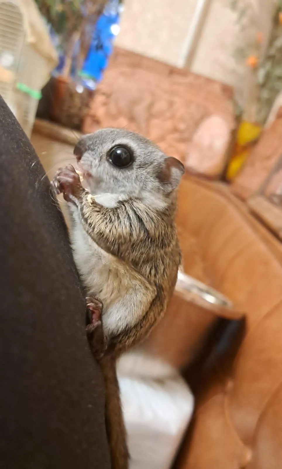 Фото: Мария Шматкова