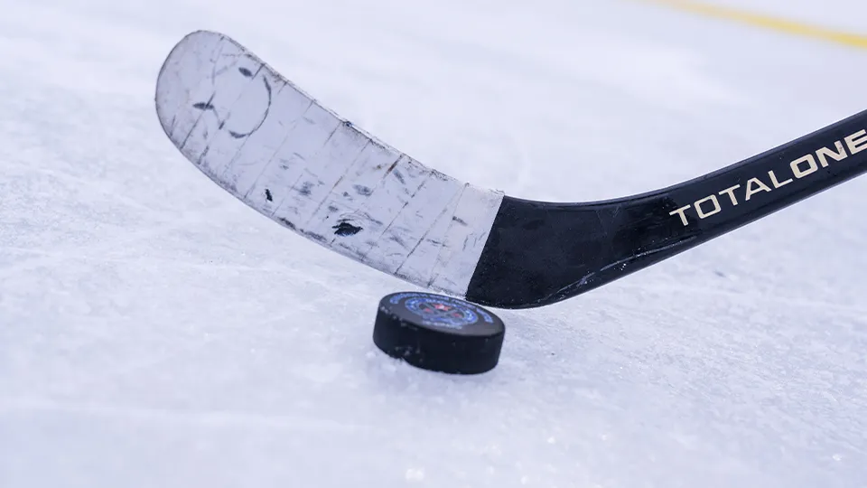 Фото: МедиаБанк Подмосковья/Н. Надточая