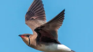 Фото: А.В. Голубева