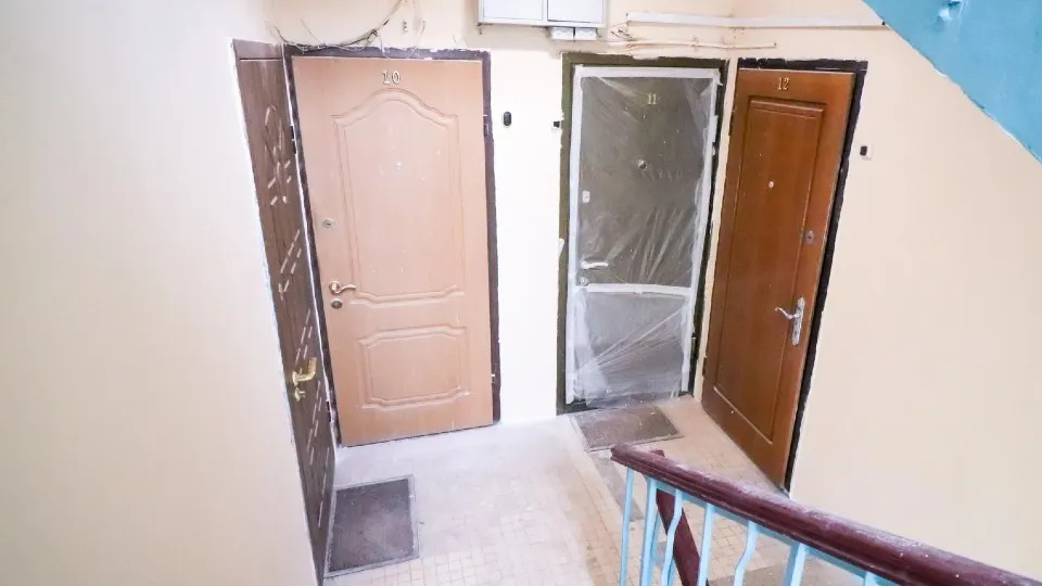 Фото: МедиаБанк Подмосковья/Данила Кирьянов