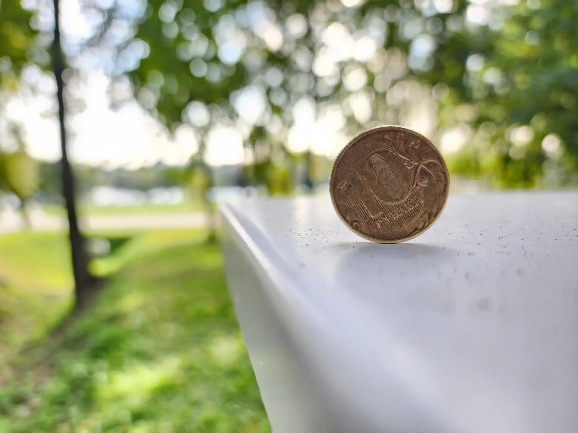 Светлана Плотникова