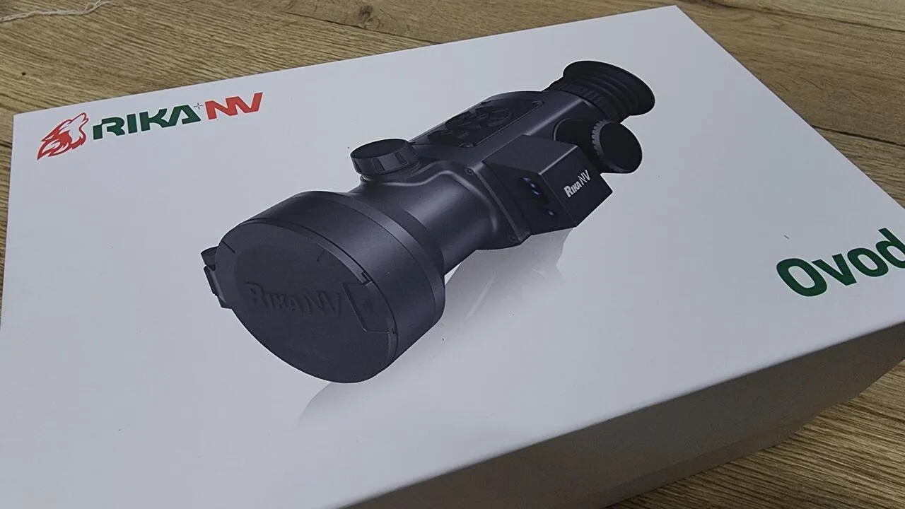 REGIONS/Валерия Тингаева