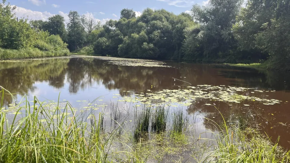 Фото: Ангелина Стельмух