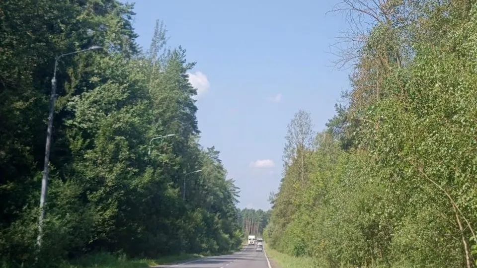 Фото: ГАУ МО «Мособллес»