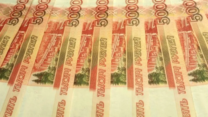 Четверть миллиарда рублей заложили в бюджете Подмосковья на соцконтракты