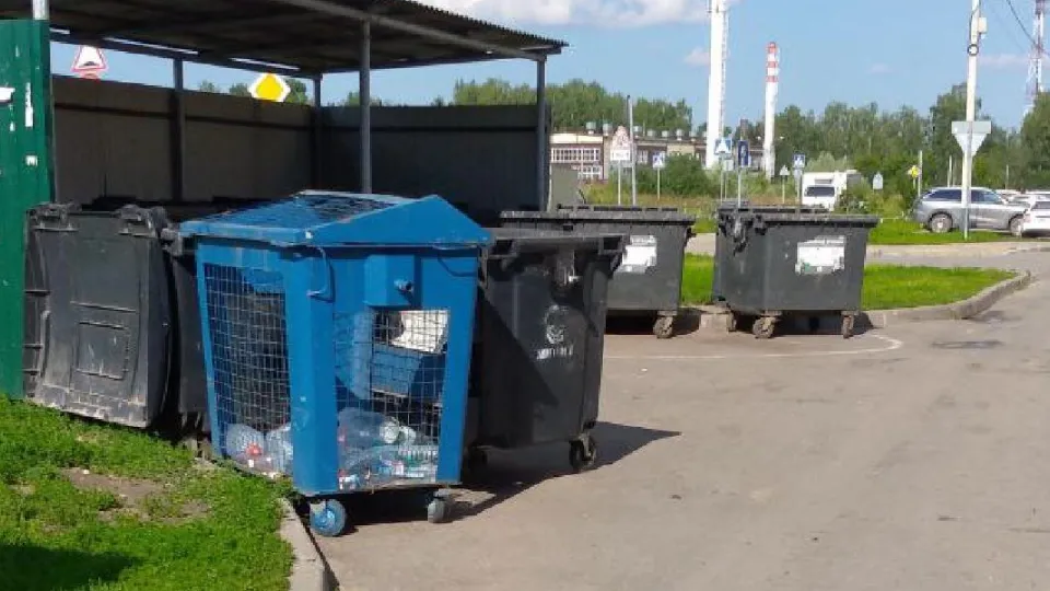 Фото: администрация Лосино-Петровского г.о.