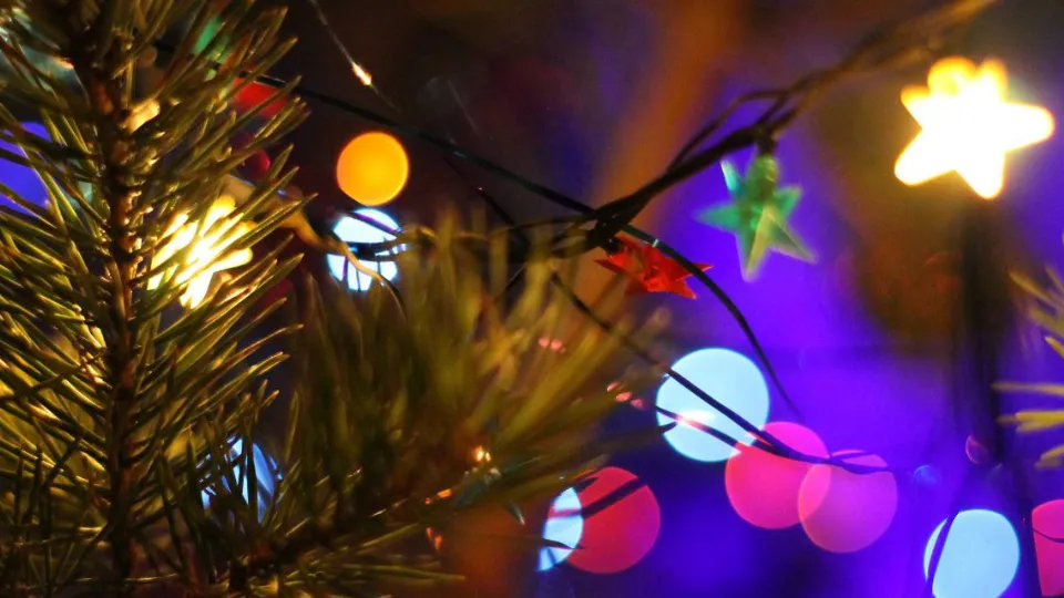 Фото: REGIONS/Эльвира Сафина