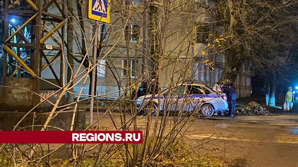 Фото: Дарья Орнадская