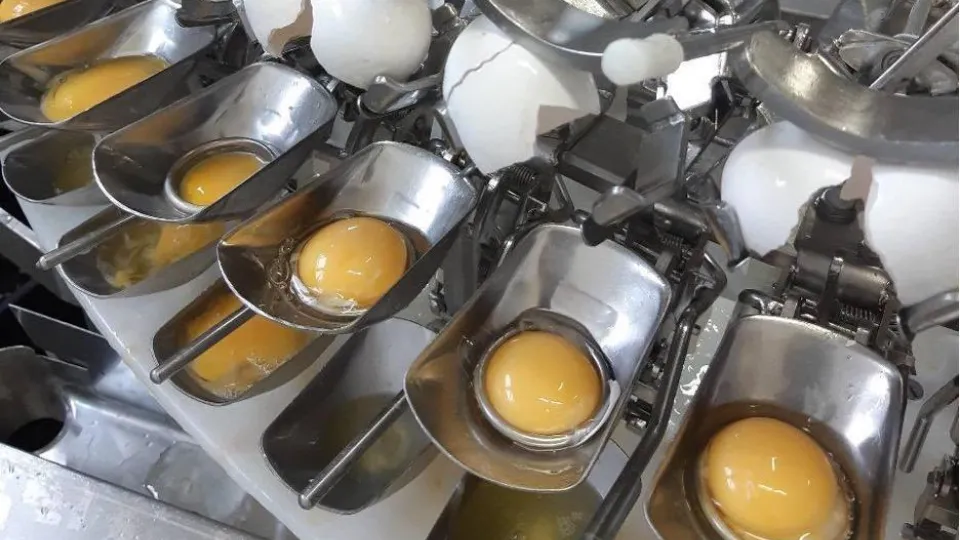 Фото: Министерство сельского хозяйства и продовольствия Московской области