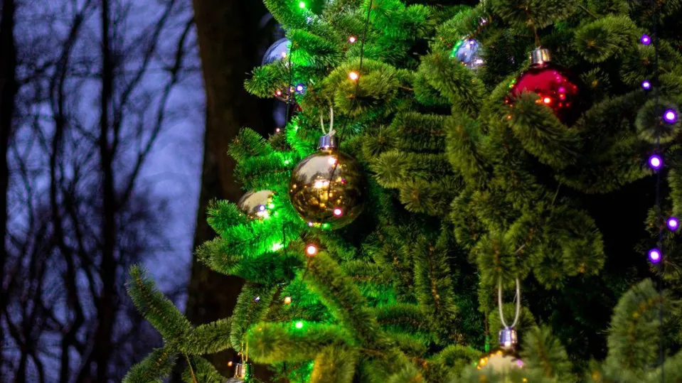 Фото: Комитет по культуре и туризму г.о. Щелково