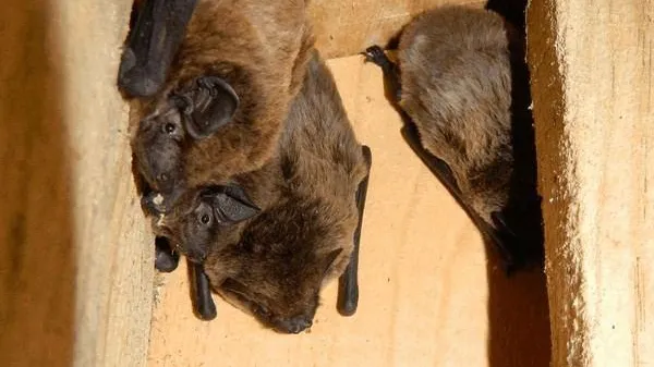 Фото: социальные сети