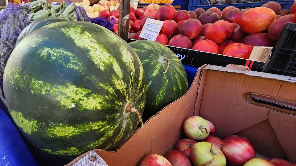 Фото: МедиаБанк Подмосковья/Валентина Максимова