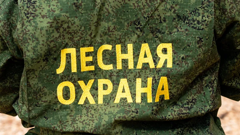 Фото: медиасток.рф