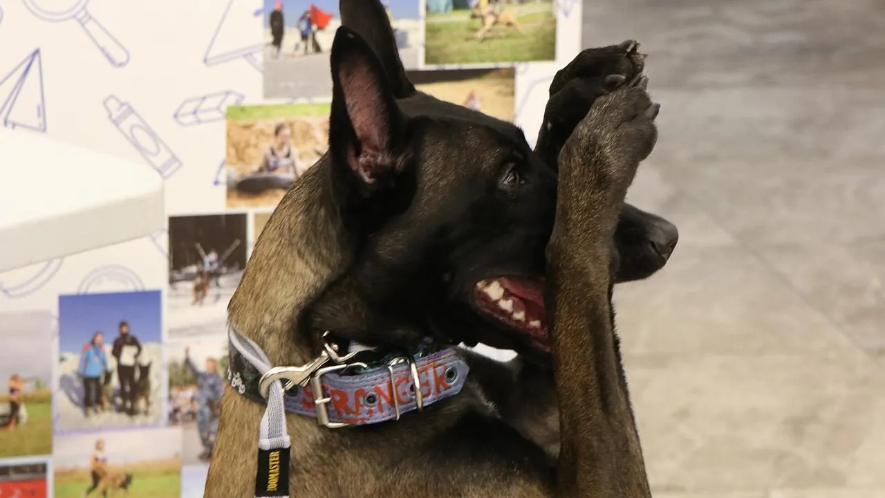 Молодежный центр городского округа Ступино