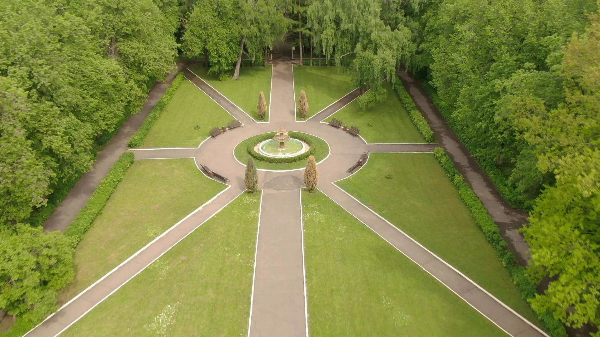 Дарья Московцева