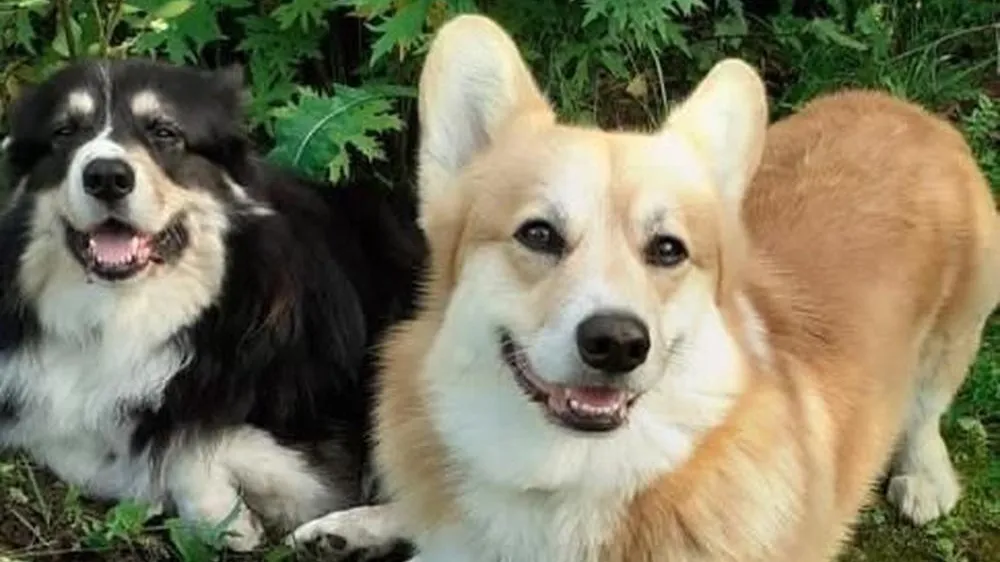 Фото: Подслушано на Глебовке (новая) / ВКонтакте