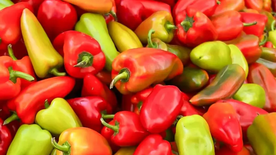 Фото: REGIONS/Максим Цыбуляк