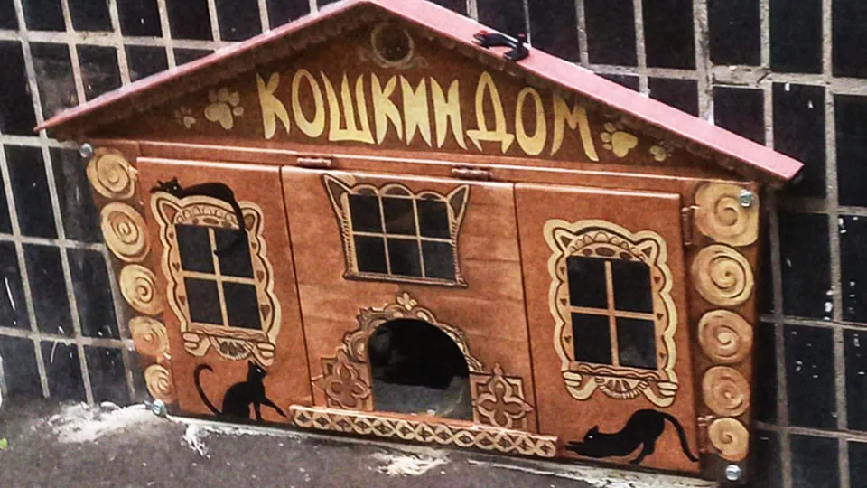 Фото: t.me/odi_city