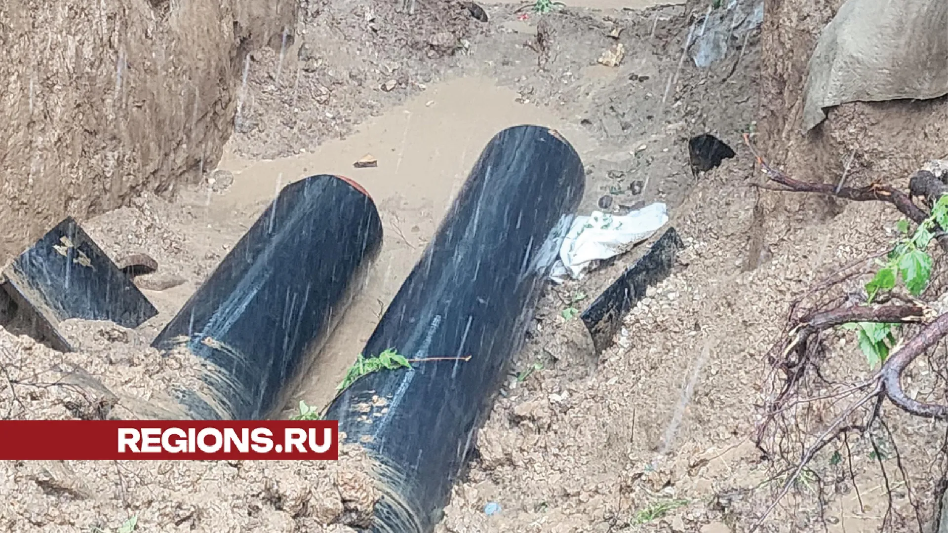 Фото: Хавива Фонина