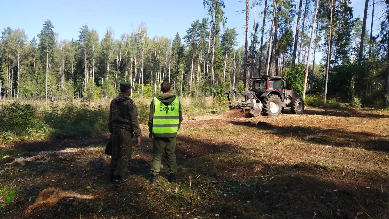 Комитет лесного хозяйства Московской области