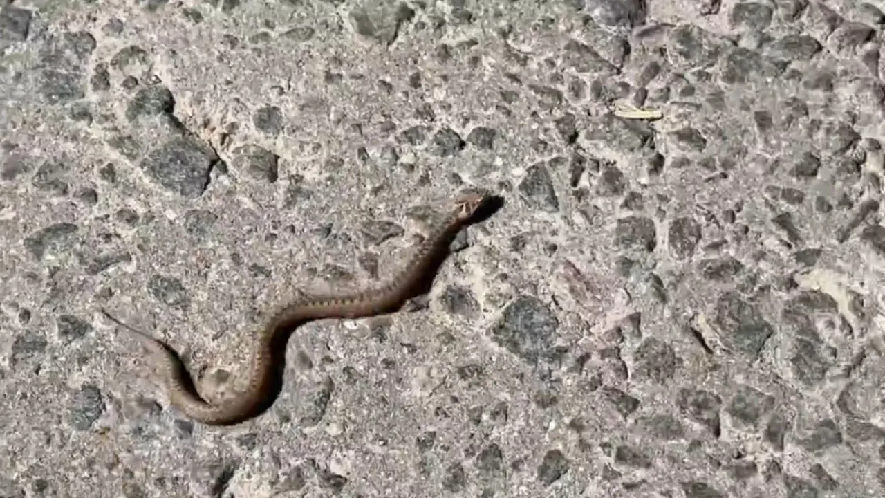 Фото: vk.com/Подслушано Талдом