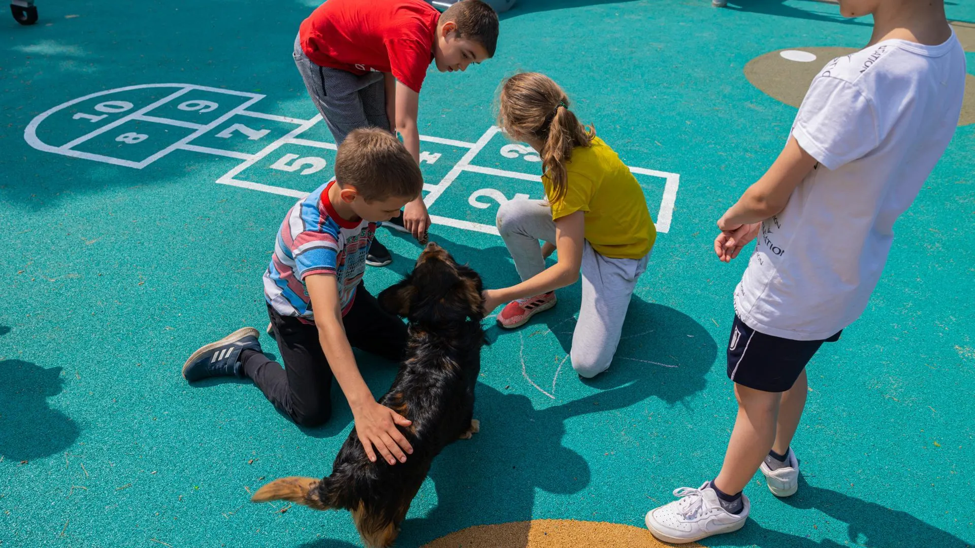 Министерство благоустройства Московской области