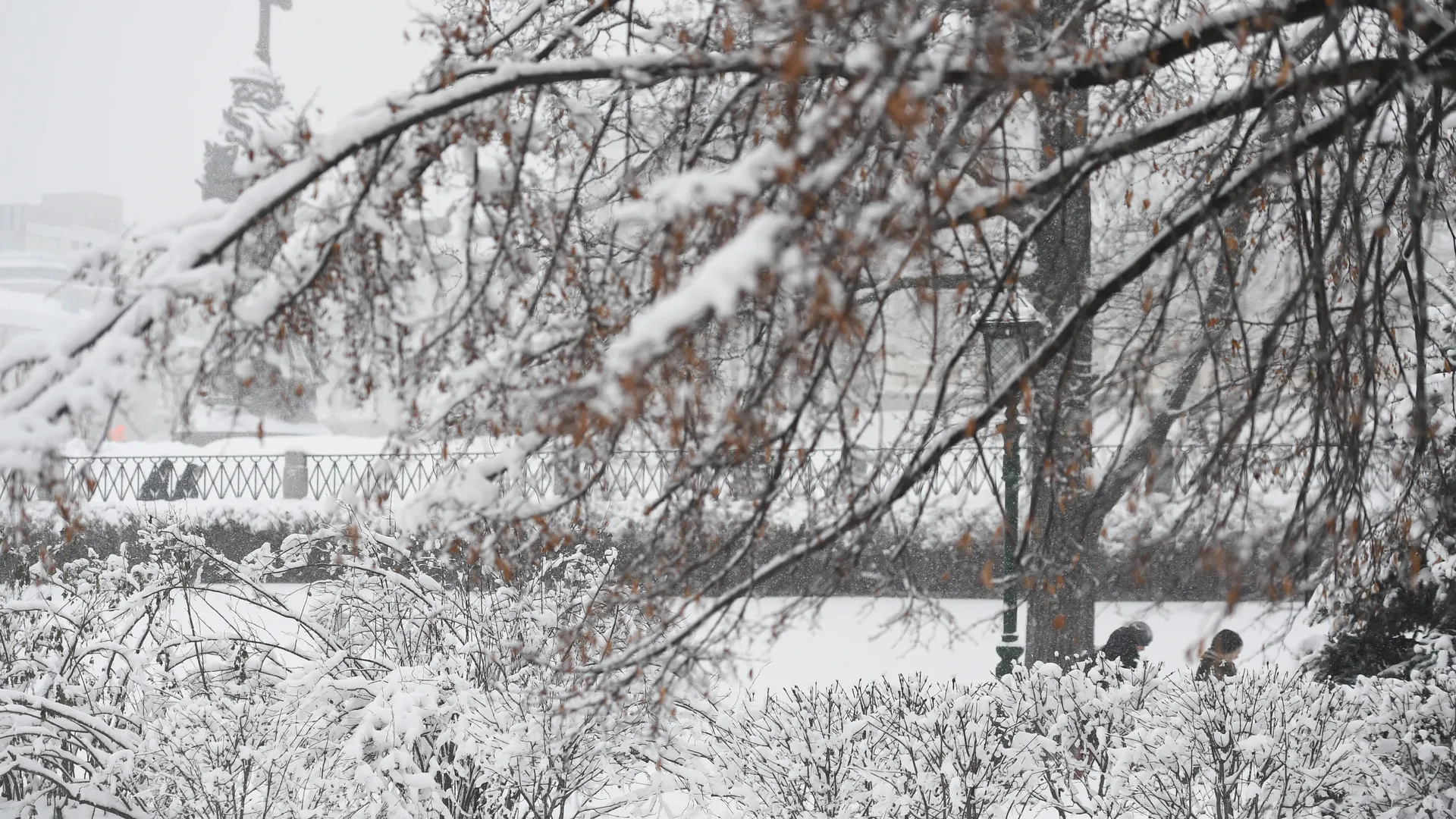 Рекордный снегопад в Москве и Подмосковье