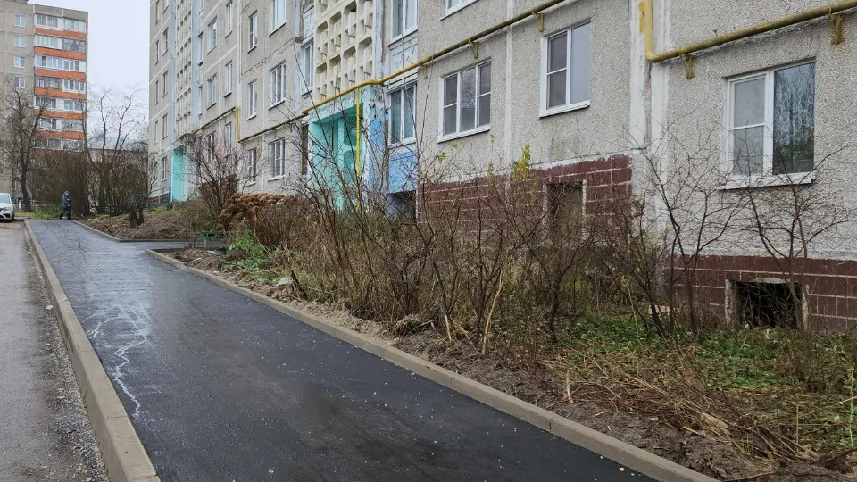 Фото: МедиаБанк Подмосковья / Юлия Андросова