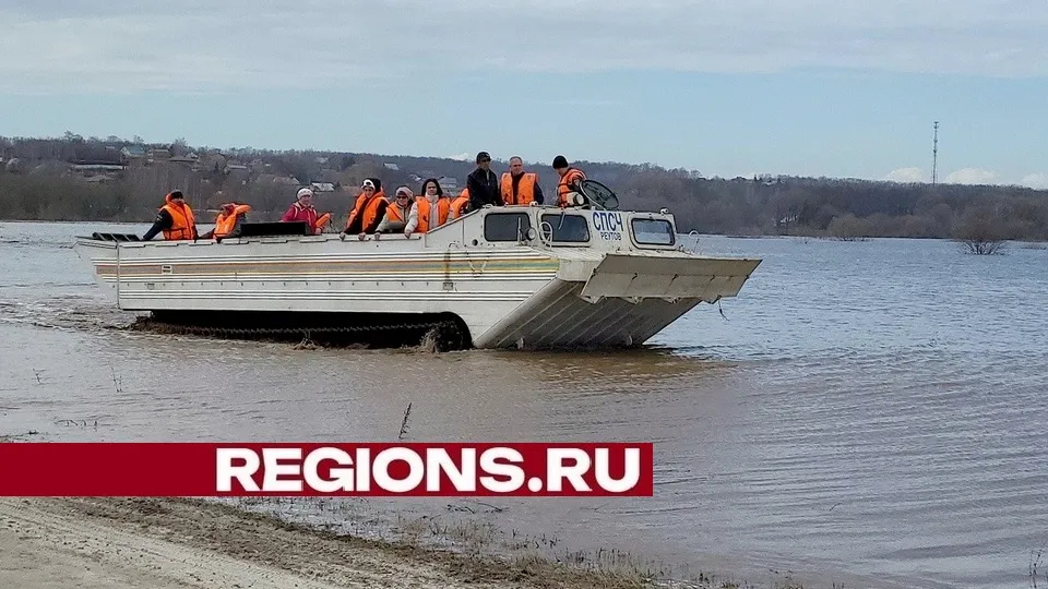 Фото: пресс-служба администрации городского округа Луховицы