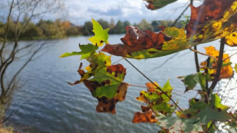 Фото: REGIONS/Наталия Надточая