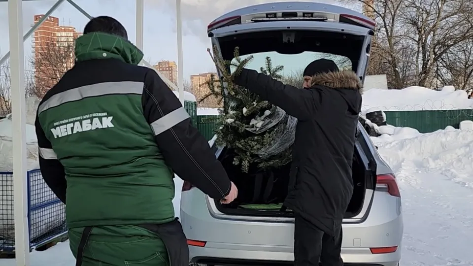 Фото: МедиаБанк Подмосковья/Валерия Ерофеева