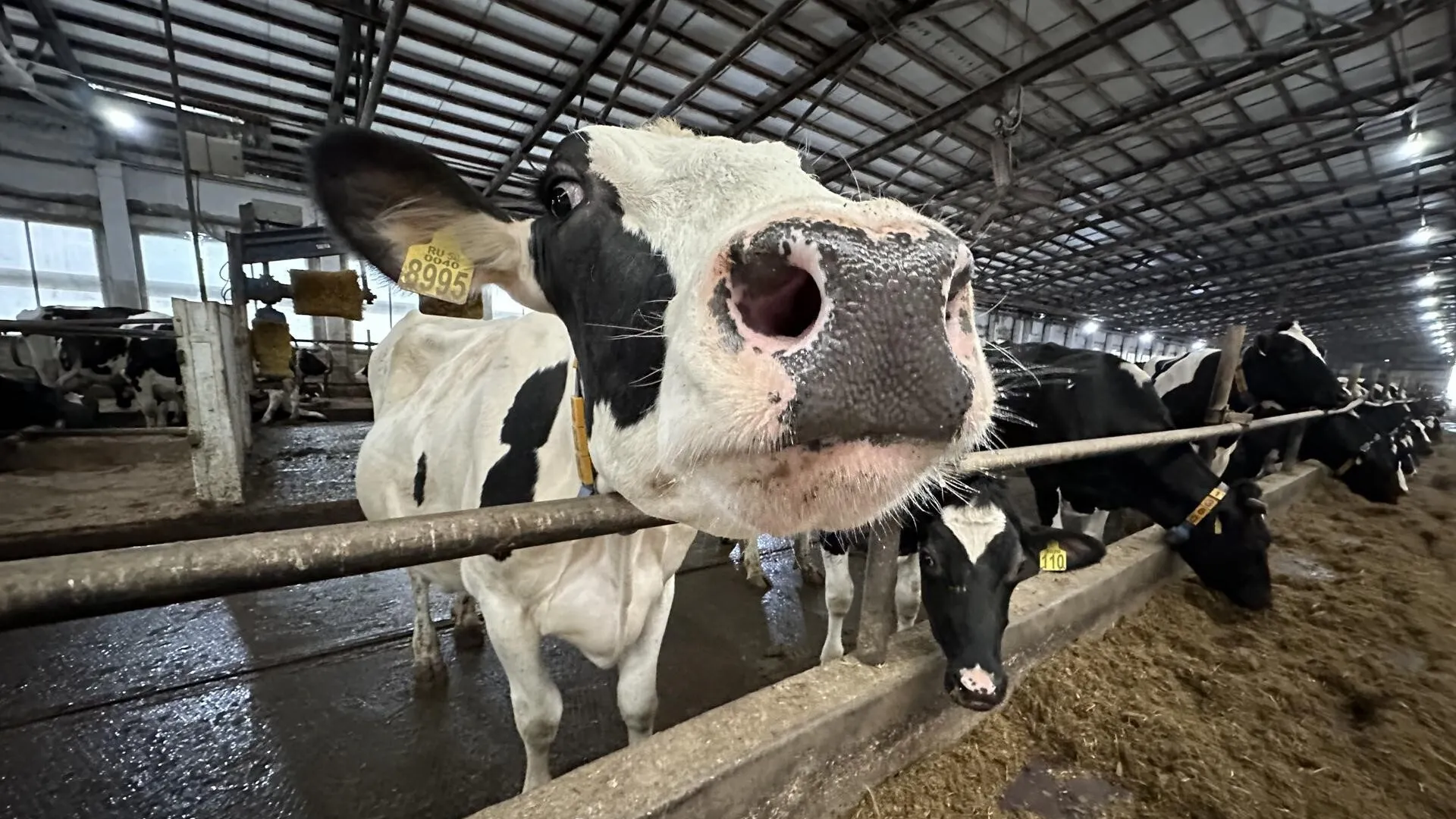 Фото: Пресс-служба Минсельхозпрода МО