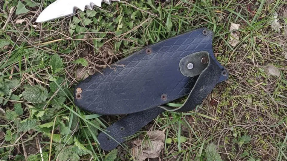 Фото: пресс-служба прокуратуры Московской области