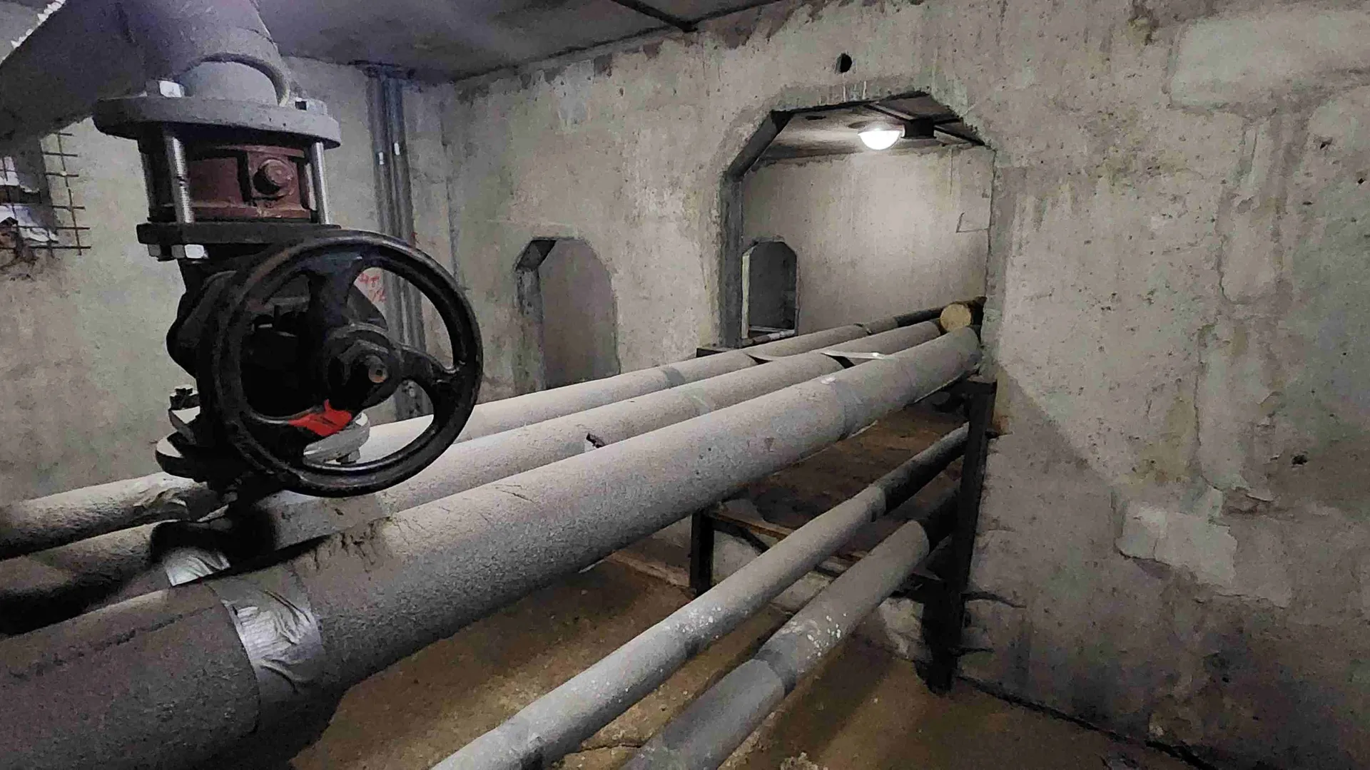 Фото: Наталия Надточая