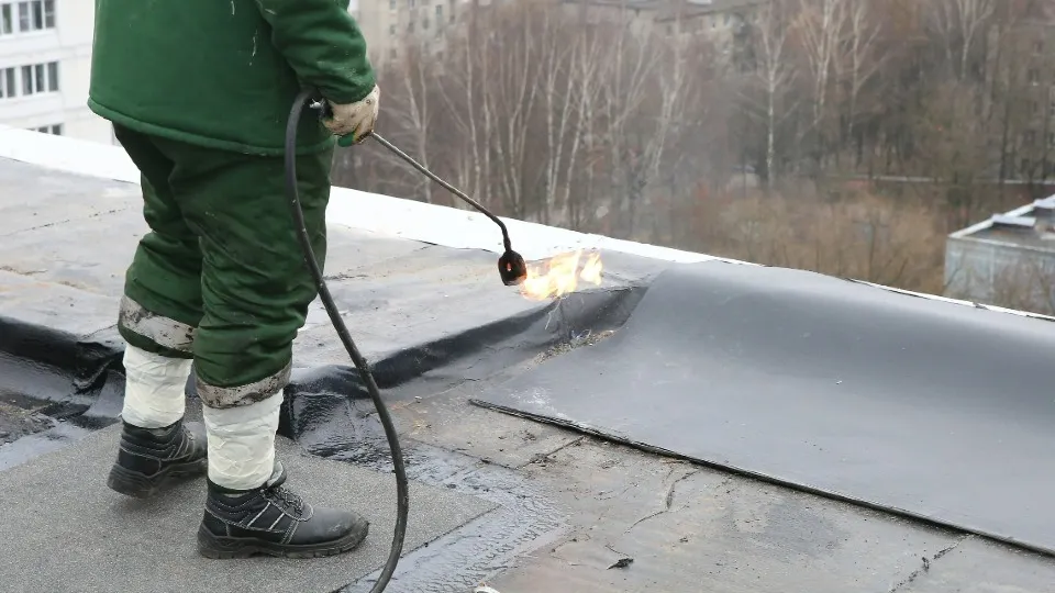 Фото: пресс-служба администрации г.о. Химки