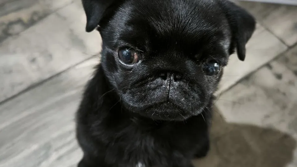 Фото: REGIONS/Роман Малышенко