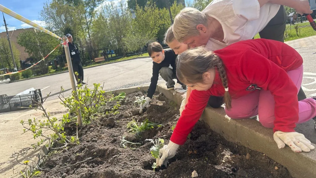 Фото: t.me/ParkVerbilki