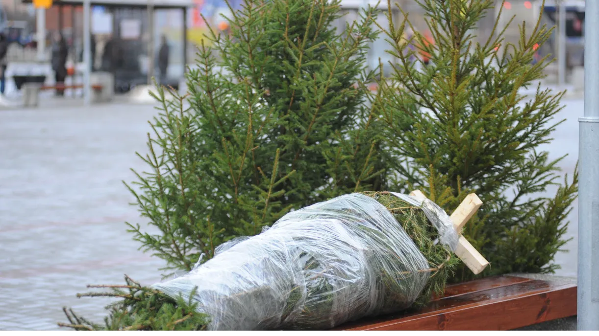 РИАМО/Александр Кожохин