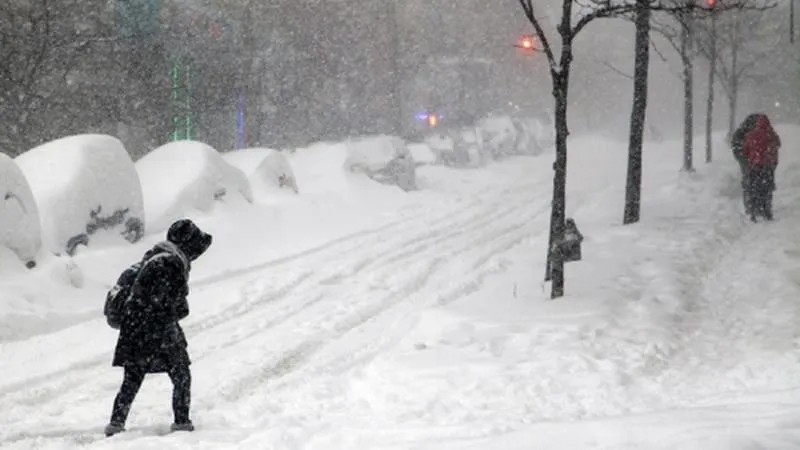 из открытых источников