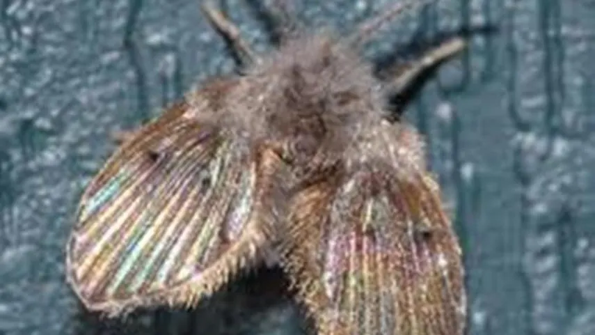 Фото: Управление Роспотребнадзора по Московской области