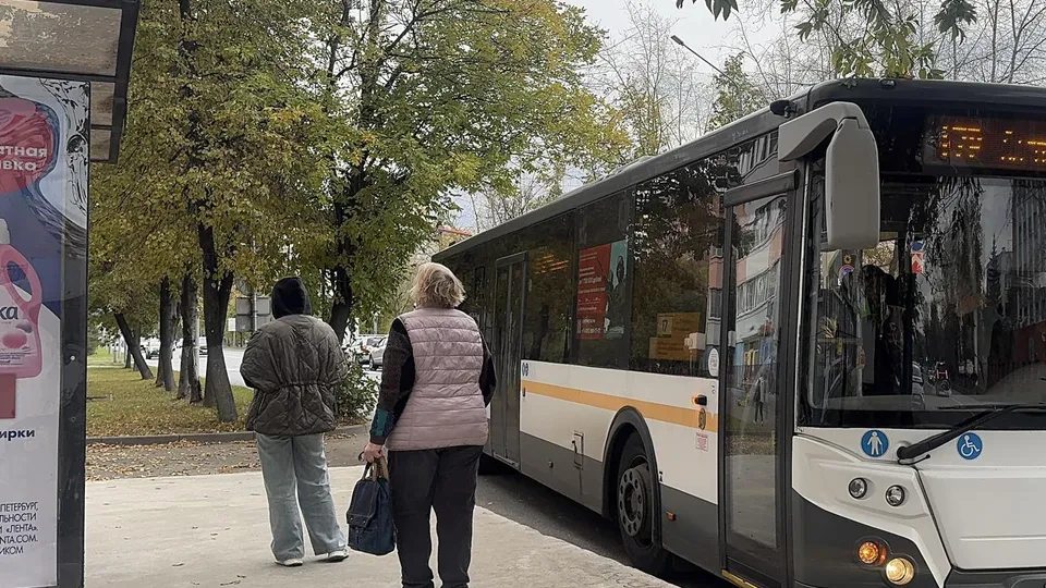 Фото: Мария Овчинникова