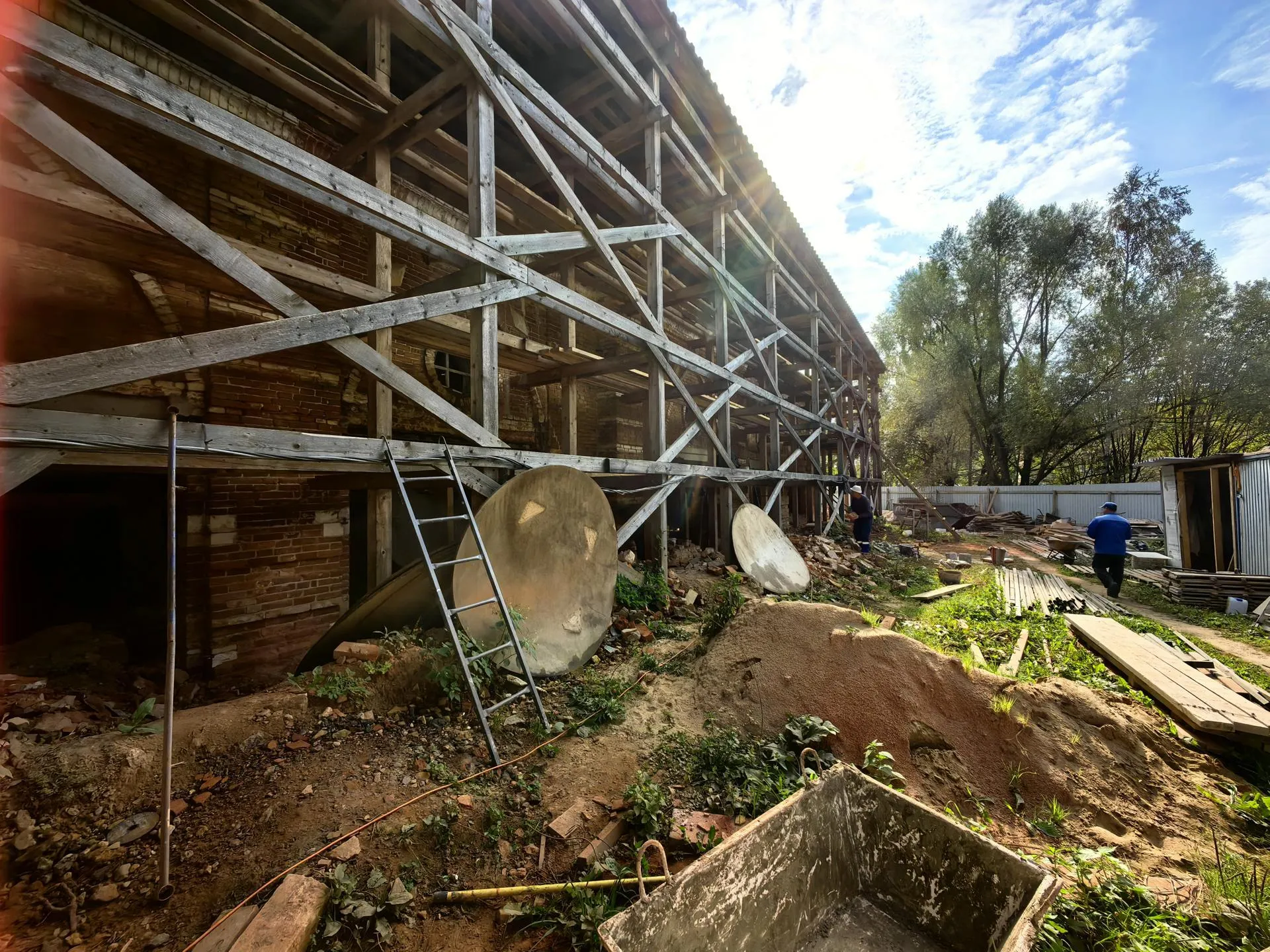 Елена Катасонова