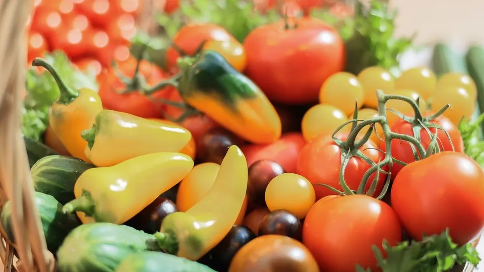 Фото: медиасток.рф