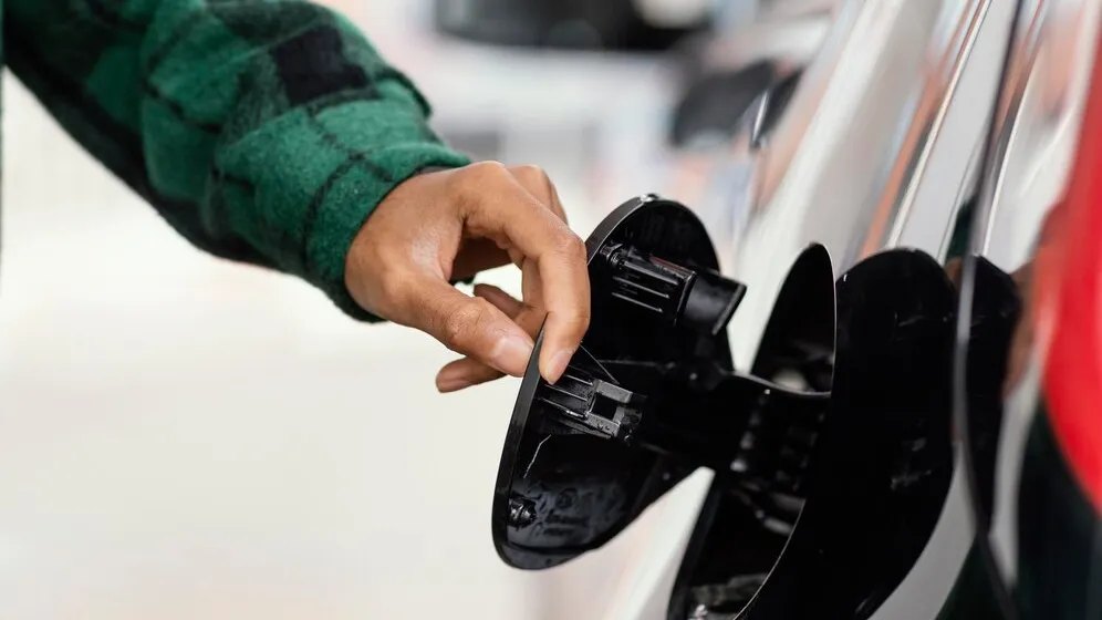 Фото: freepik.com